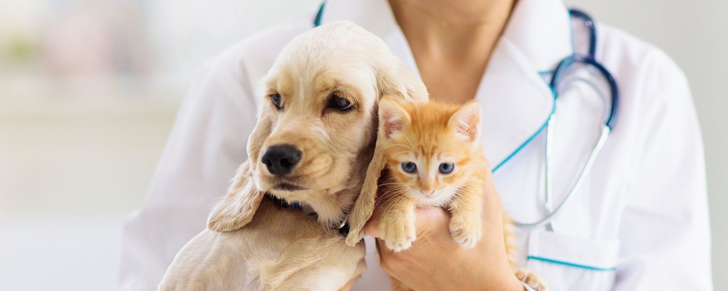Pets and Pet Care