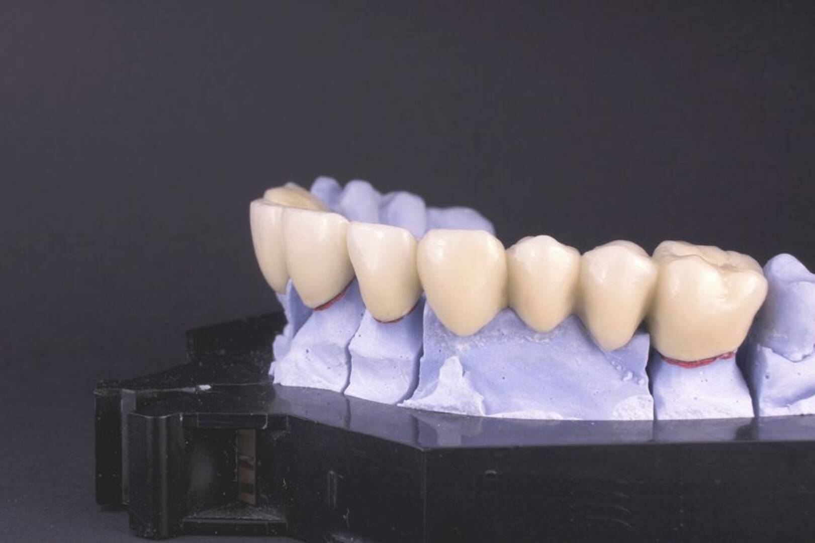 Emergency Dental Office Gainesville FL